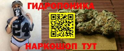 ешки Новокубанск