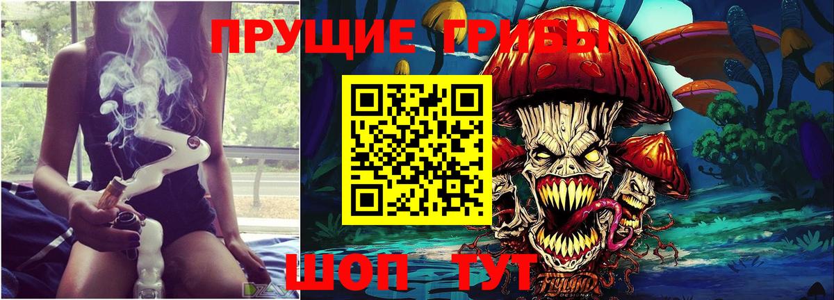 Галлюциногенные грибы Psilocybe  Псилоцибиновые грибы прущие грибы  Хабаровск  Вход с VPN 
