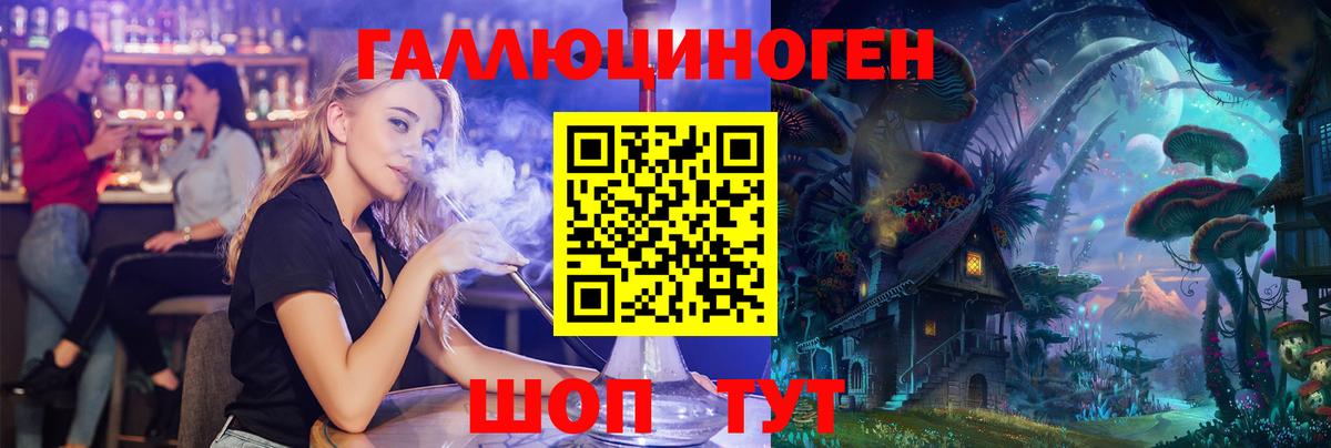 Псилоцибиновые грибы Psilocybine cubensis Хабаровск